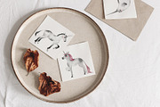 Animal ABC. Alphabet cards, an Animal Illustration by Natali Smolova (Thumbnail 10 of 11)