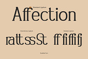Rushlike, a Serif Font by yumnatype (Thumbnail 9 of 10)