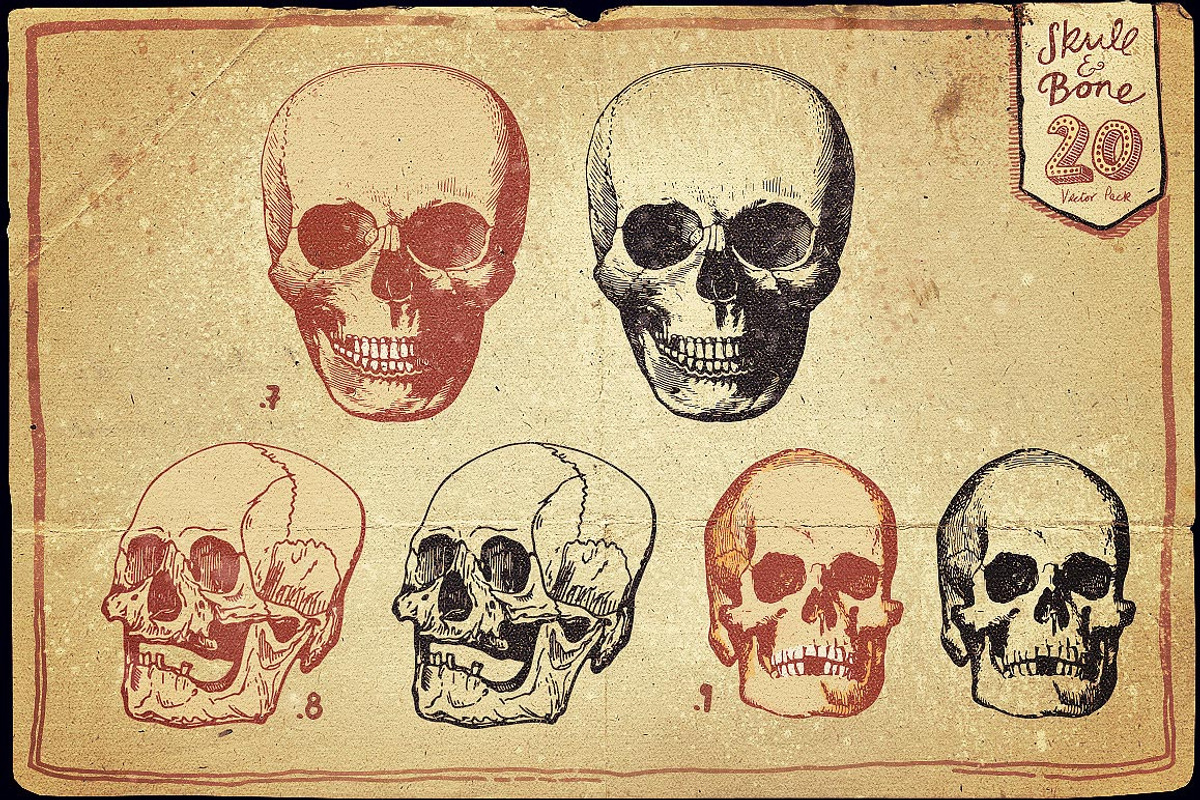 Vintage Skull and Bone Vector pack, an Illustration by Itsmesimon (Photo 6 of 11)