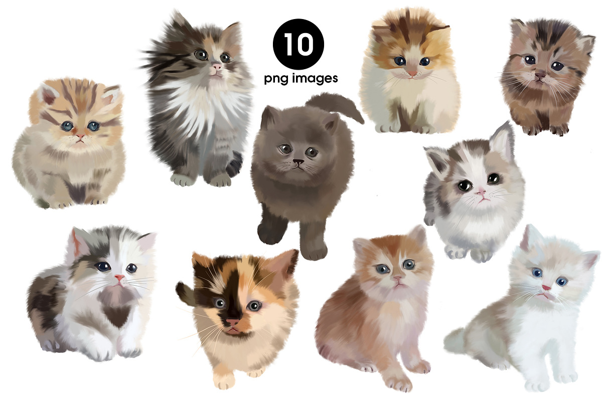 Cute Kittens, an Animal Illustration by Malena (Photo 2 of 4)