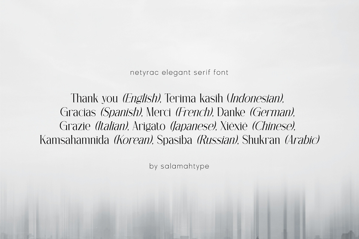 Netyrac – Elegant Font, a Serif Font by Salamahtype (Photo 6 of 8)
