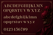 Gts Valier | Romantic Font, a Serif Font by Graptail (Thumbnail 10 of 11)