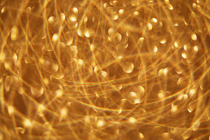 Christmas glimmering defocused holiday atmosphere, a Background Photo by Photo Drive Studio