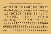 CS Camilo Mono – Monospaced Font, a Sans Serif Font by Craft Supply Co. (Thumbnail 8 of 8)
