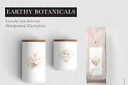 Earthy Botanicals Florals & Leaves, a Decorative Illustration by Momo Studio (Thumbnail 3 of 12)