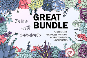 Succulent bundle!