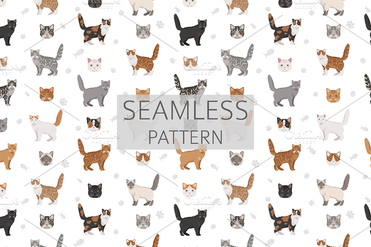 Selkirk Rex Cat, an Animal Illustration by pet design shop (Photo 6 of 6)