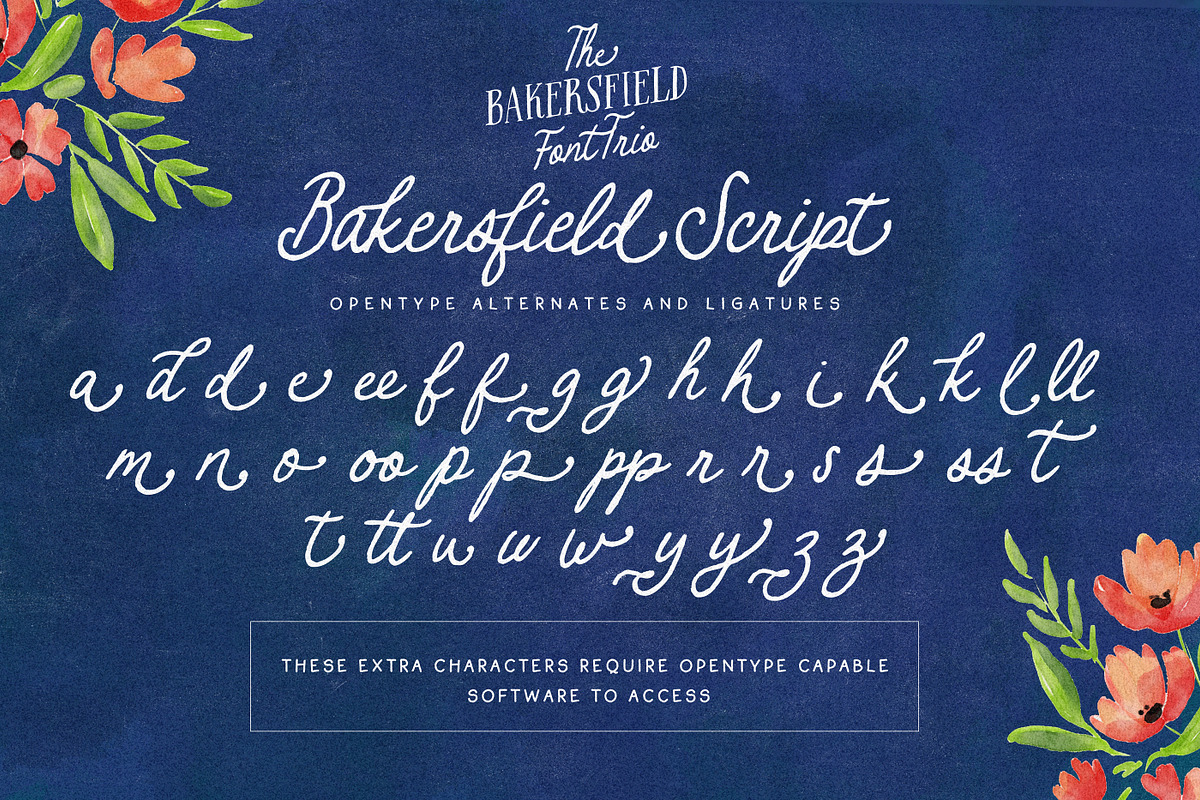 The Bakersfield Font Trio, a Handwritten Font by Nicky Laatz (Photo 16 of 18)