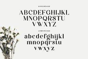 Zalerin Modern Serif Typeface