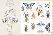 Ephemeral Psychedelic Watercolor, an Object Graphic by Cat In Colour (Thumbnail 7 of 10)