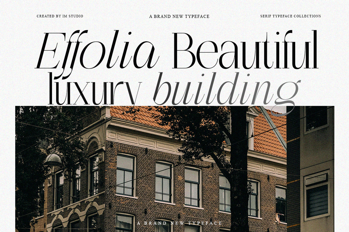 The Perfectly Migthem (11 Font), a Serif Font by IM Studio (Photo 2 of 9)