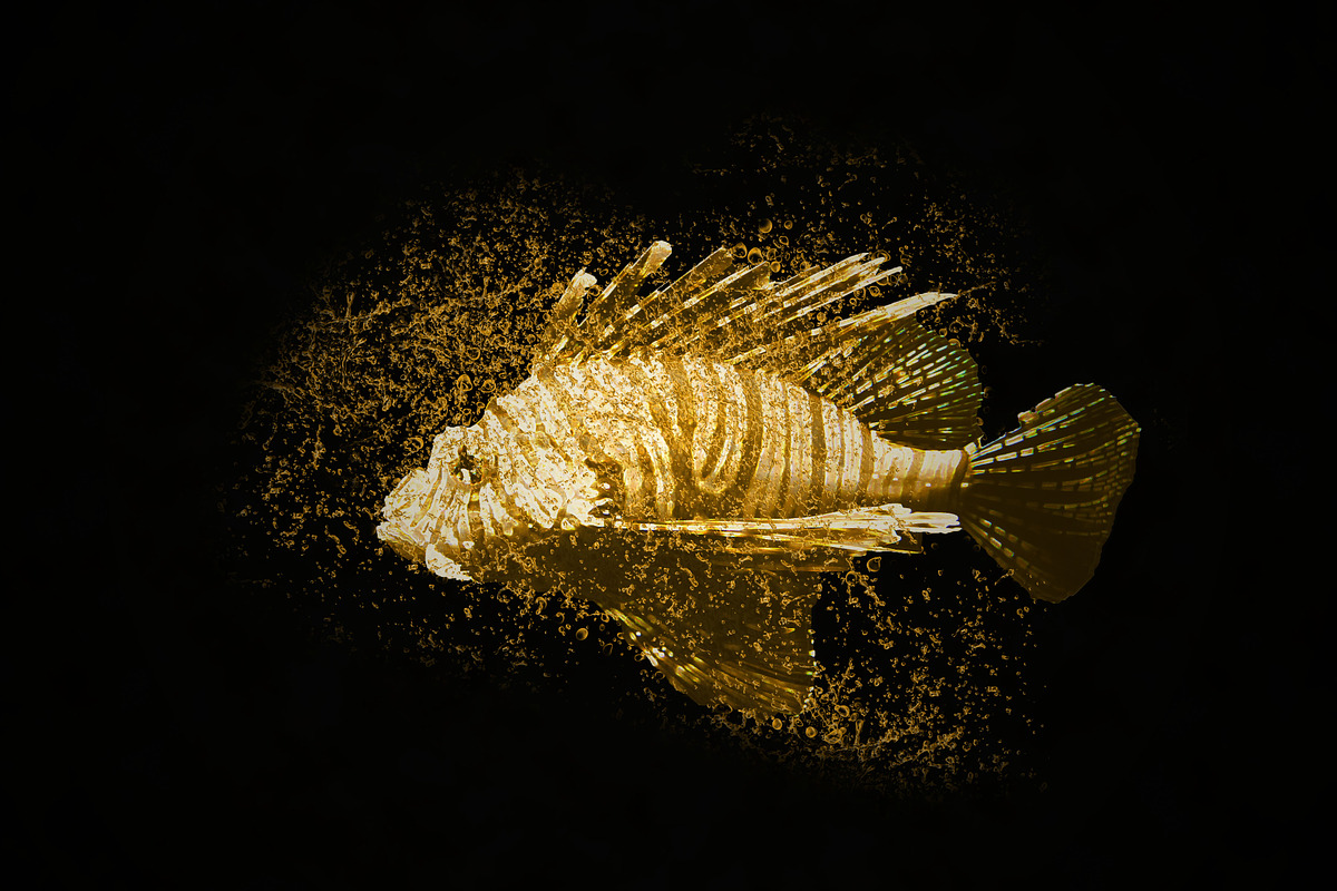 Gold Splash - Photoshop Action, an Action Add-On by Lightdesigns (Photo 3 of 5)