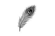Peacock Feather Silhouette Bundle, an Illustration by jahid234 (Thumbnail 26 of 31)
