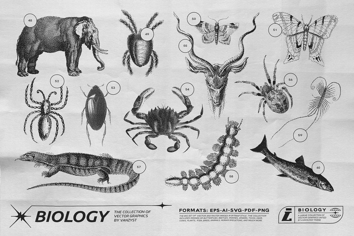 125 Vector Bitmap Assets. Biology, a Graphic by Vanzyst (Photo 6 of 16)