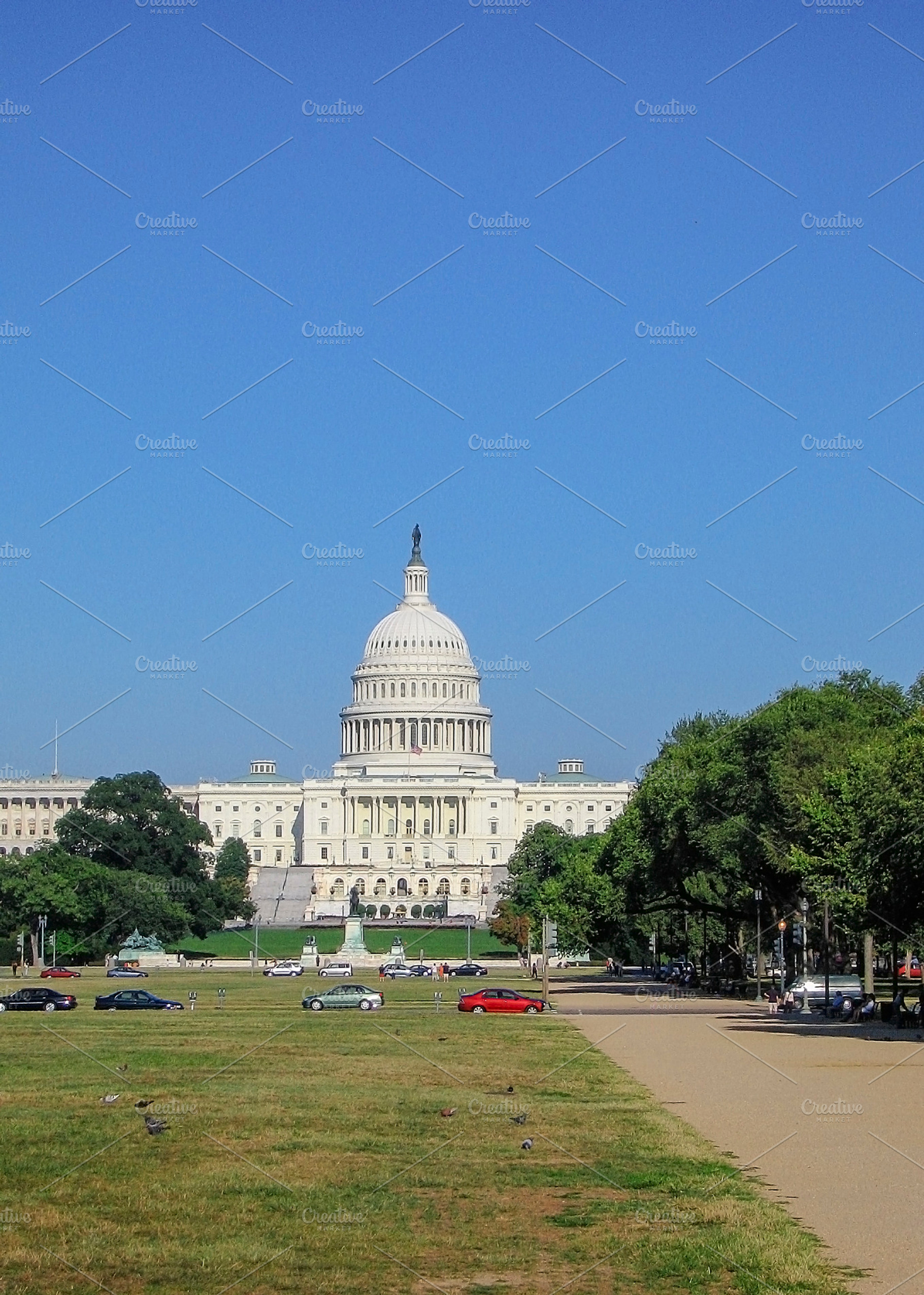 View On The Capitol In Washington Dc