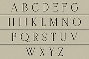 Bachelors Display, a Serif Font by RockboyStd (Thumbnail 8 of 12)