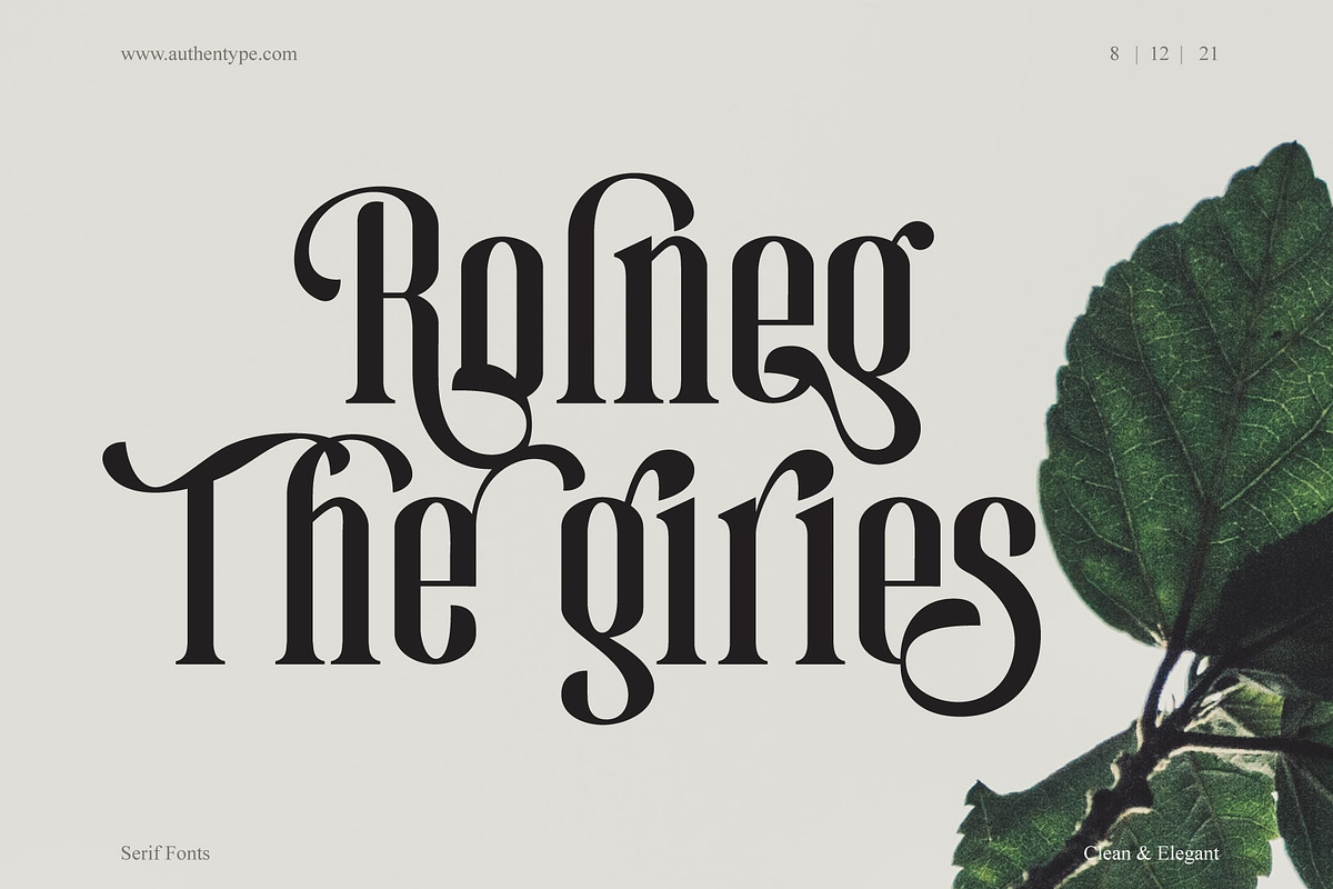 Magic Roses - Serif Clean Elegant, a Serif Font by AuthenType (Photo 8 of 15)