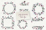 Watercolor set flowers of clover, an Illustration by RushkinaAntonina (Thumbnail 7 of 7)