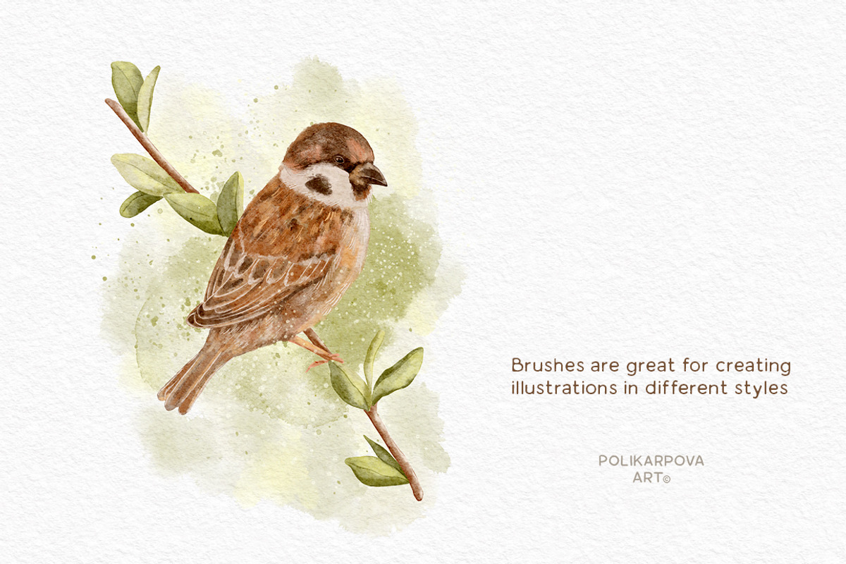 Delicate Watercolor Brushes & Canvas, a Brush Add-On by polikarpovaart (Photo 10 of 16)