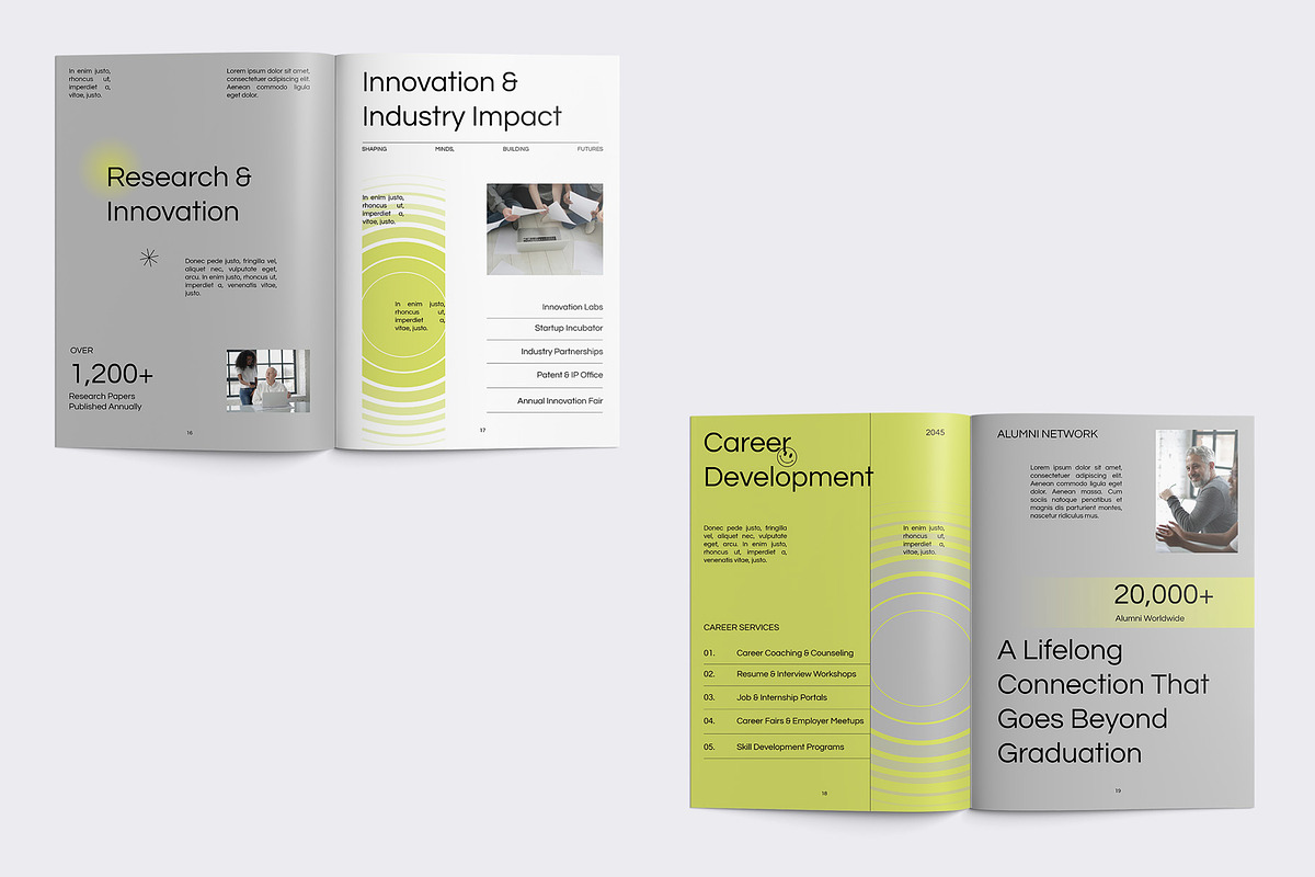 University Profile Brochure preview 7