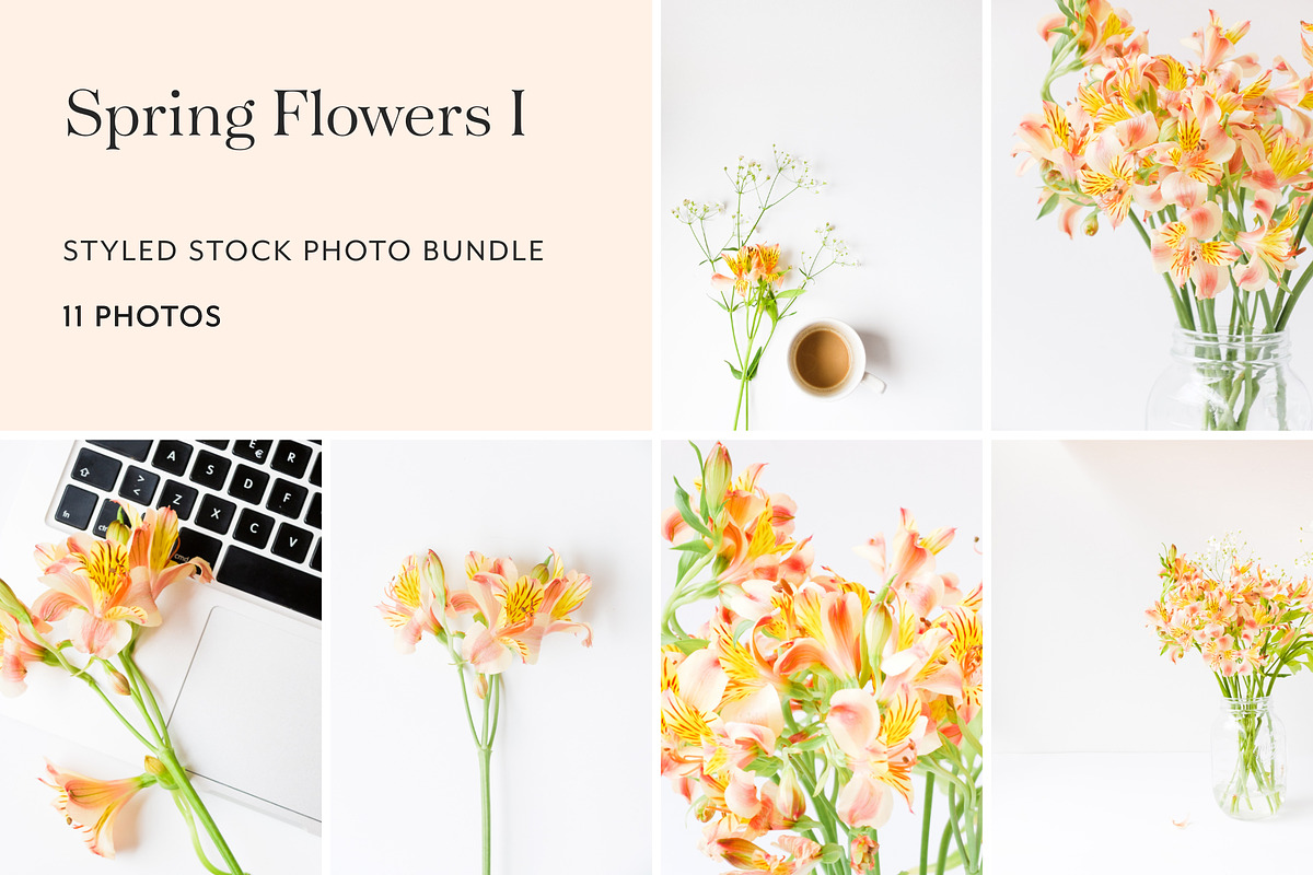Spring flowers photo bundle featuring minimal, white, and orange, a Business Photo by Visual Bloom (Photo 1 of 3)