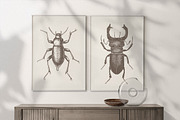 Vintage Animals Bundle 300+, an Animal Illustration by Retro Machine (Thumbnail 20 of 21)