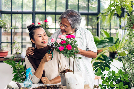 Happy gardener senior old eldery couple looking at young plant w