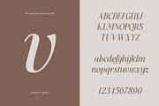 Aesthetic Essential | Modern Serif, a Serif Font by Megi Satyo Widodo (Thumbnail 17 of 22)