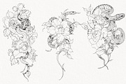 Procreate Snake stamps with flowers., a Brushes & More by AnnaPolitmerskaja (Thumbnail 6 of 8)