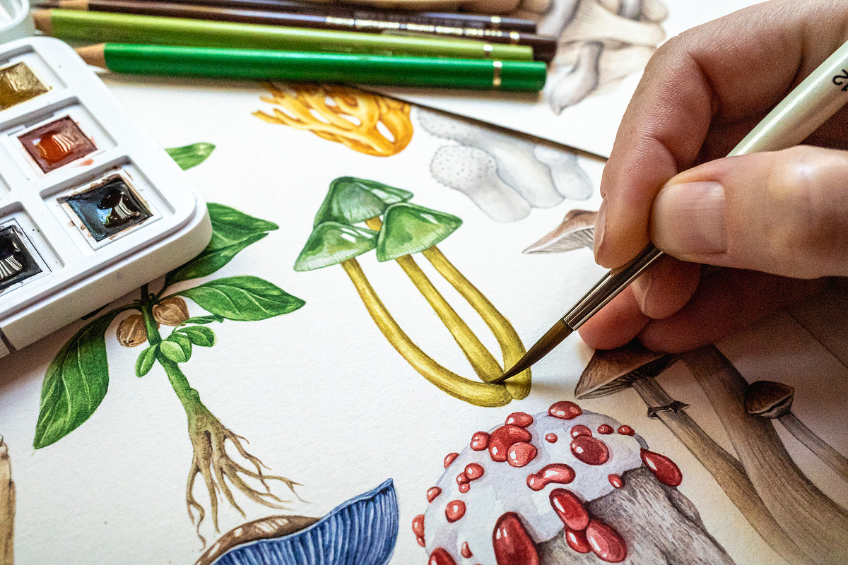 Mushrooms Watercolor Clipart, a Food Illustration by AnitaPol (Photo 16 of 24)