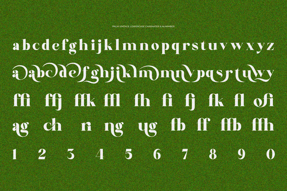 Palm Vintage, a Serif Font by zaaintype (Photo 11 of 11)