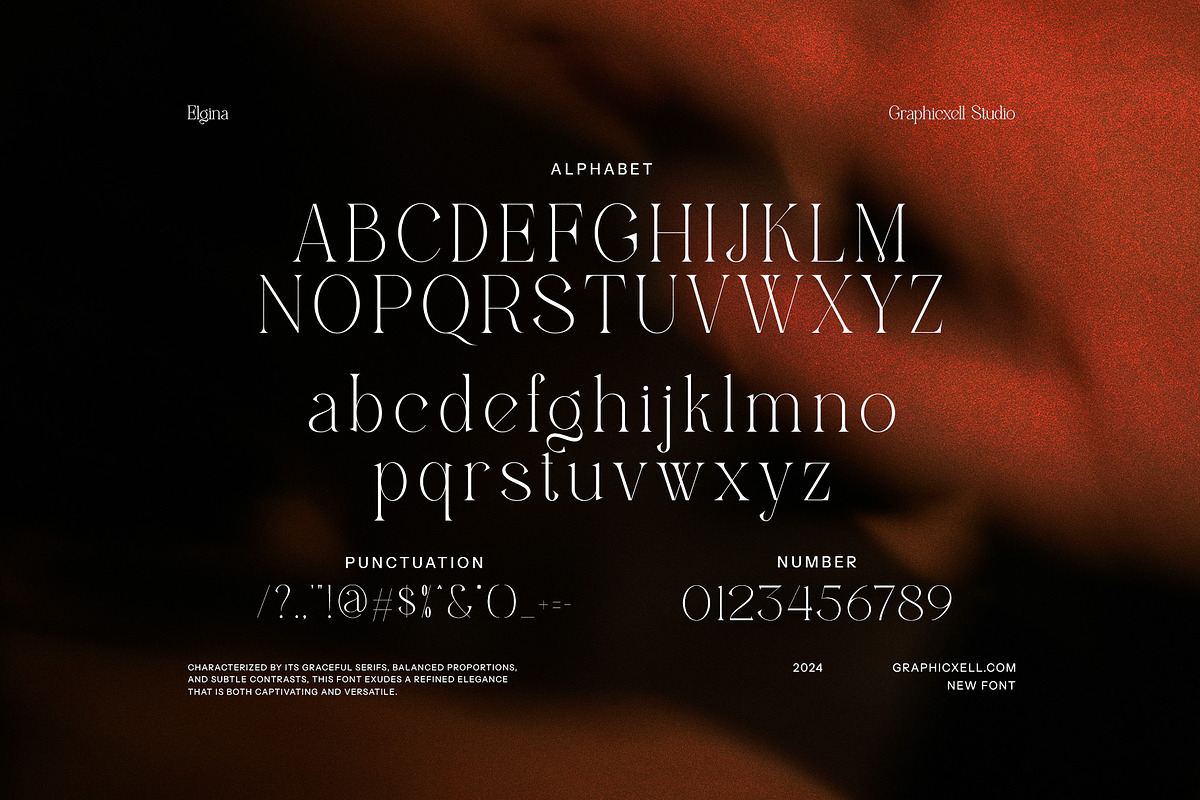Elgina Modern Serif Font By Graphicxell