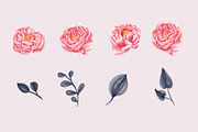 peonies watercolor set collection, an Object Graphic by Mariyana (Thumbnail 3 of 4)