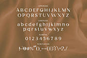 Chalcedony | Modern Serif Font, a Serif Font by rulihoki studio (Thumbnail 9 of 10)