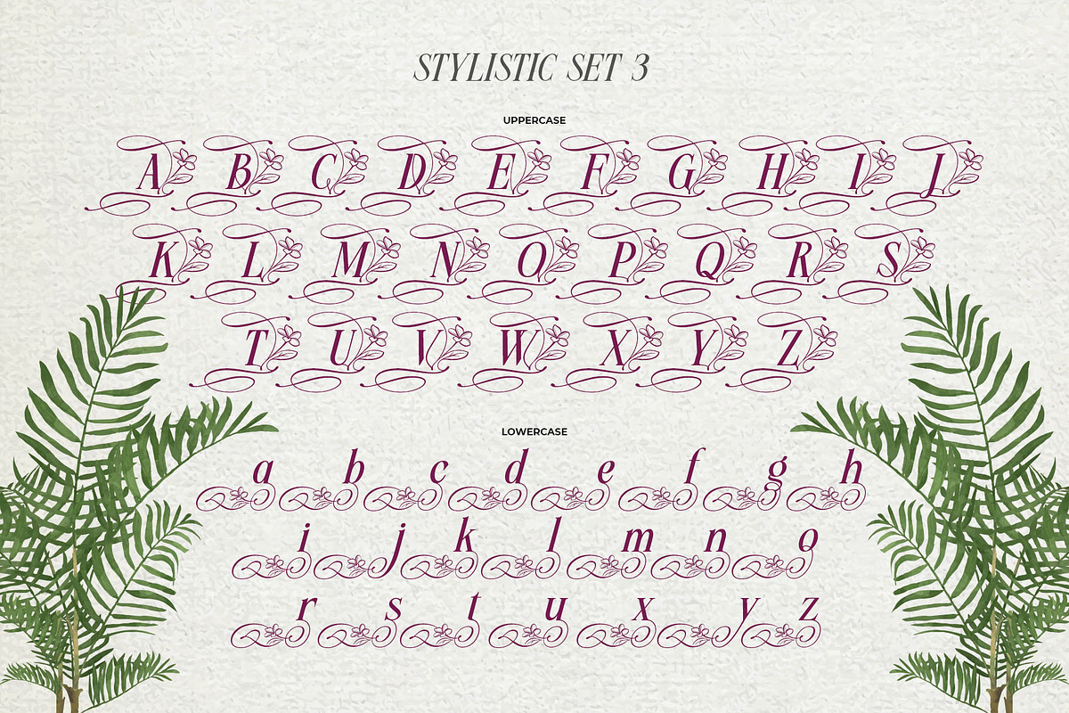 Meillona Typeface, a Serif Font by alit design (Photo 10 of 17)