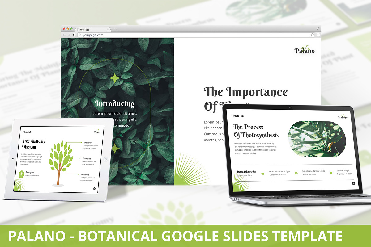 Palano - Botanical Goolge Slides, a Presentation Template by SlideFactory (Photo 1 of 4)