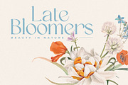 Quinek Elegant Serif, a Serif Font by Brandear Design (Thumbnail 3 of 16)