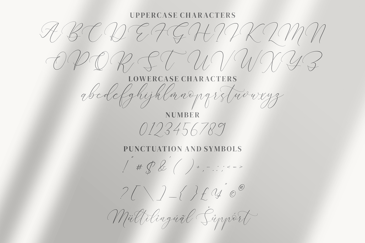 Almyrada Script, a Script Font by Integritype Studio (Photo 6 of 8)