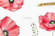 Poppies clipart Watercolor, an Illustration by Daryartsy (Thumbnail 7 of 14)