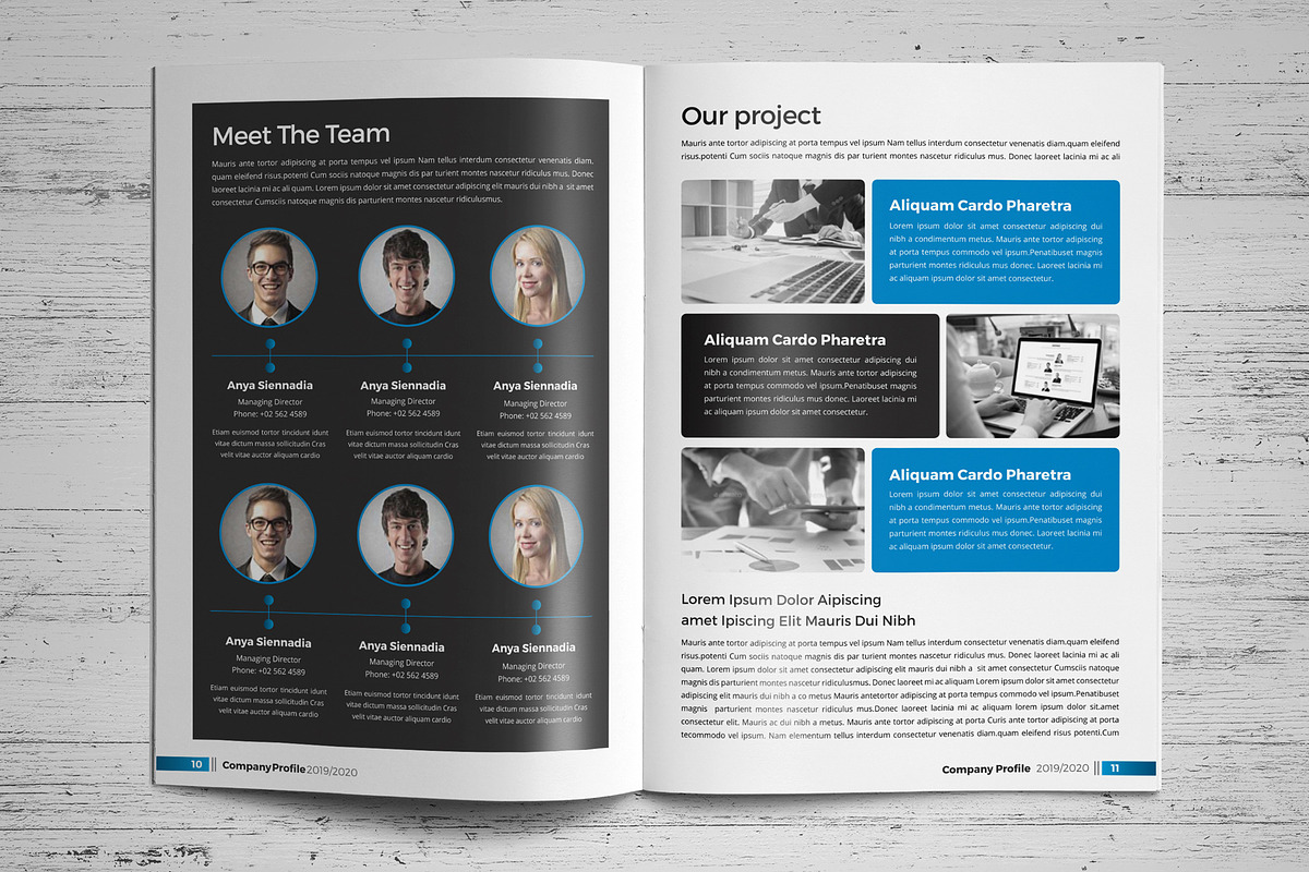 Company Profile Template V6, a Brochure Template by JanySultana (Photo 6 of 14)
