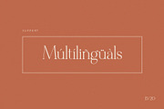 Metagana – Modern Display Serif Font, a Serif Font by BrandSemut (Thumbnail 6 of 8)