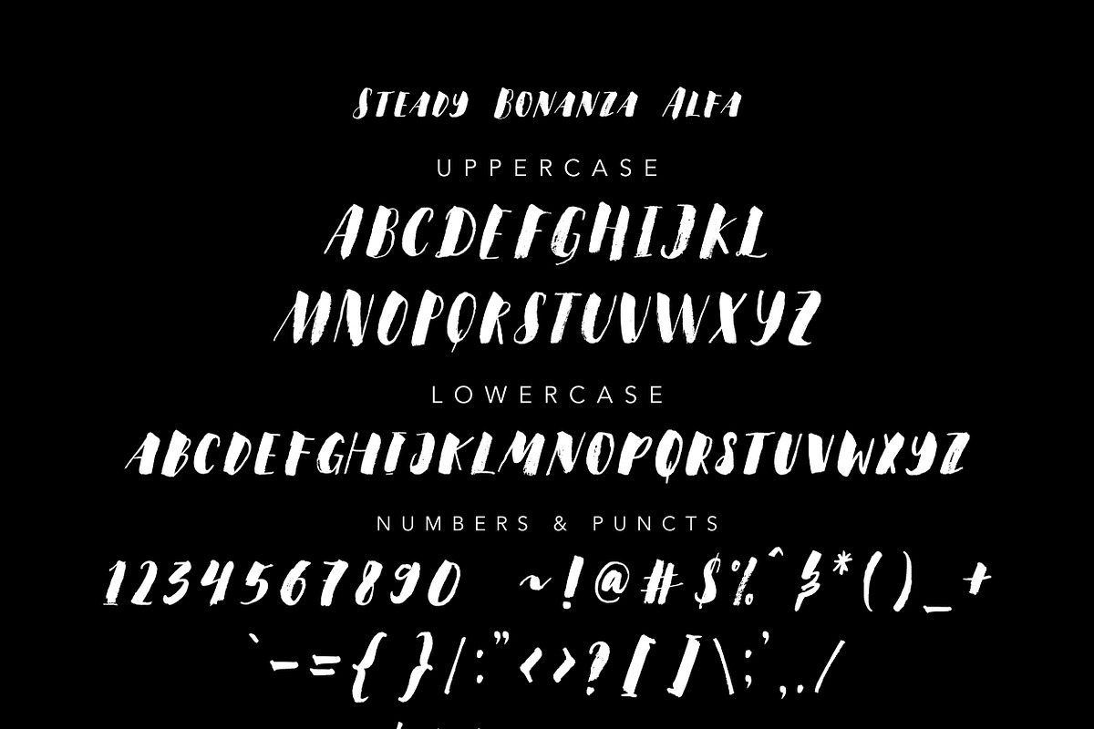 Steady Bonanza Multistyle Fonts preview 8
