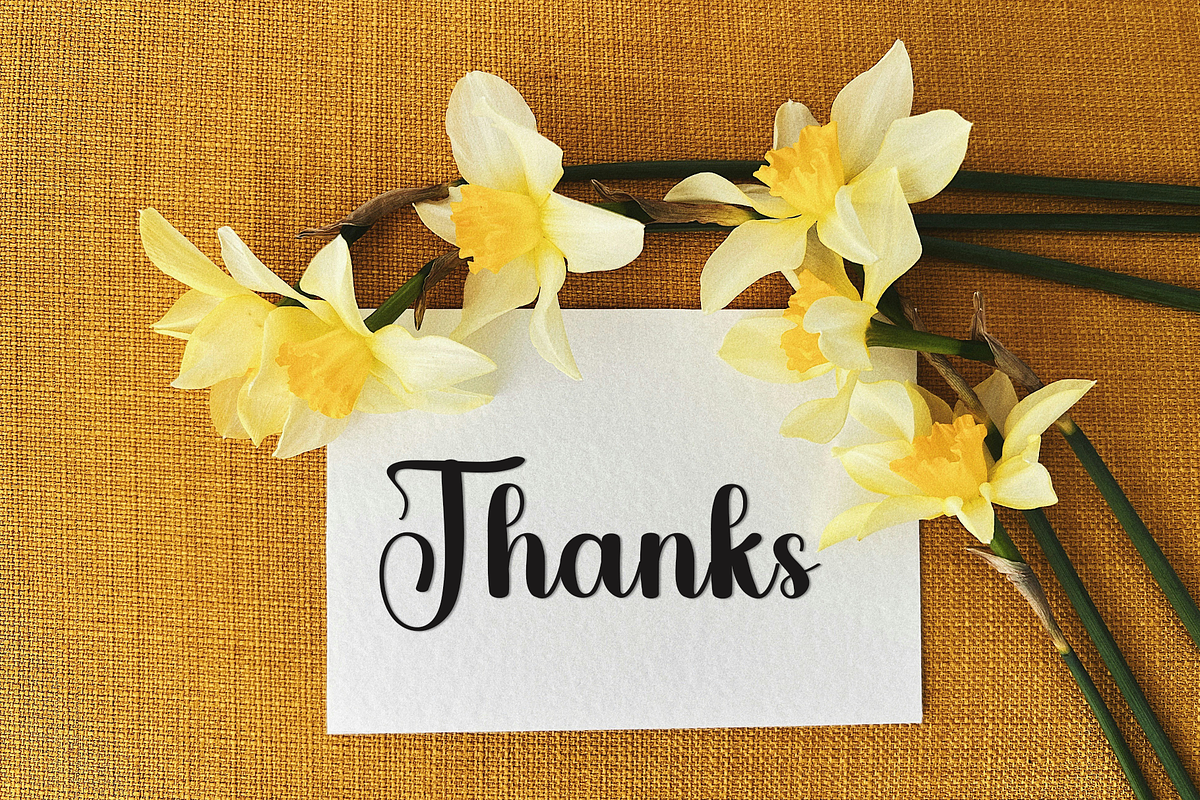 Teacher Happines, a Handwritten Font by InermediaSTUDIO (Photo 8 of 8)