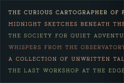 Typetopia Eroded Serif Typeface, a Handwritten Font by alpercakici (Thumbnail 14 of 17)