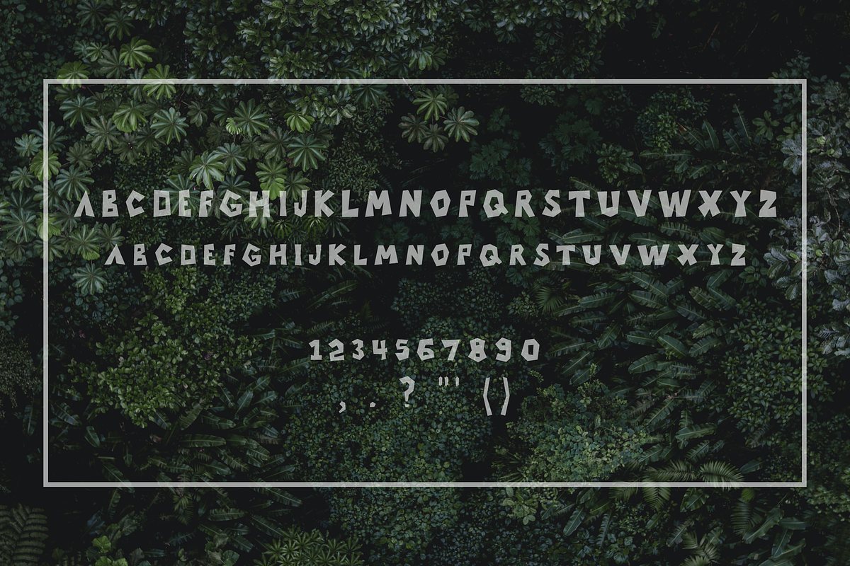 Amazona Font preview 2