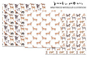 Dogs Alphabet, clipart & patterns, an Animal Illustration by Visual Animal (Thumbnail 5 of 8)