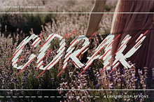Corak - Display Sign Painting Font