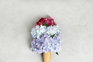Multicolor Hydrangeas in Ice Cream Cone on Neutral Background, a Holiday Photo by Natalia Klenova's Shop