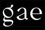 Pervinca Family, a Serif Font by Hederae Type Foundry (Thumbnail 6 of 18)