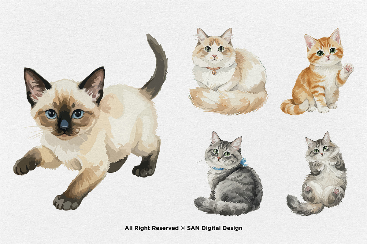 15 Bundle Watercolor Lazy Cats Kiten, an Animal Illustration by Morspective (Photo 5 of 8)